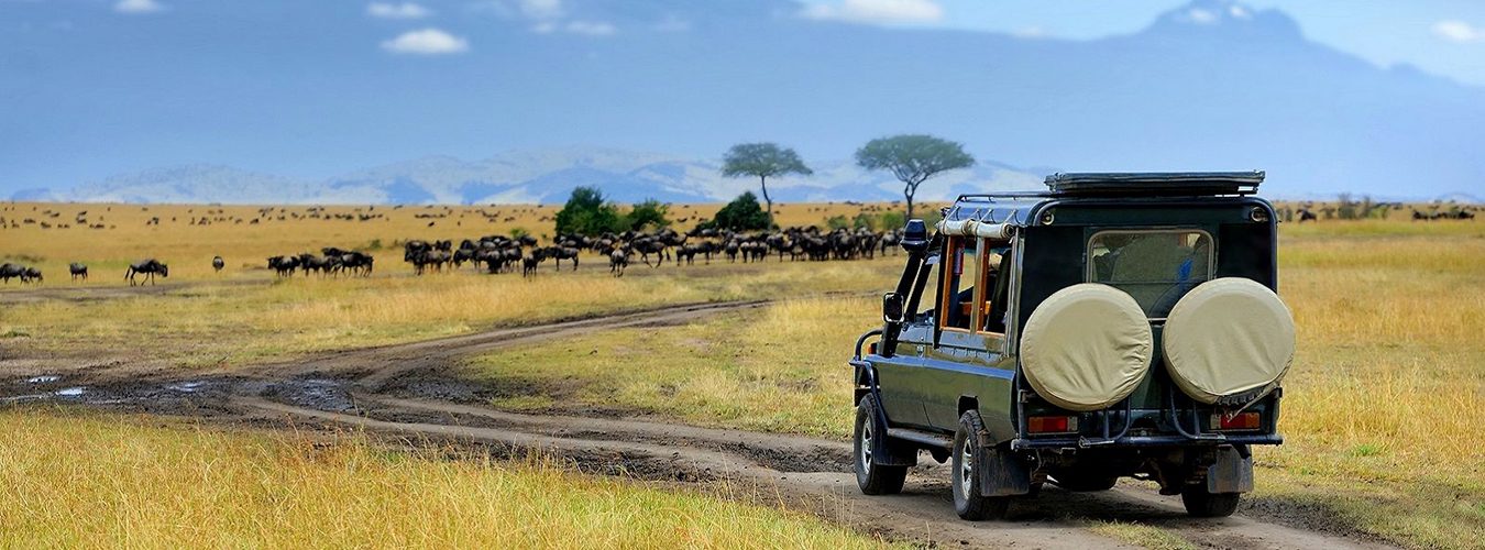 5 itinerary suggestions for 7 Days Tanzania safari tour (one week in Tanzania)